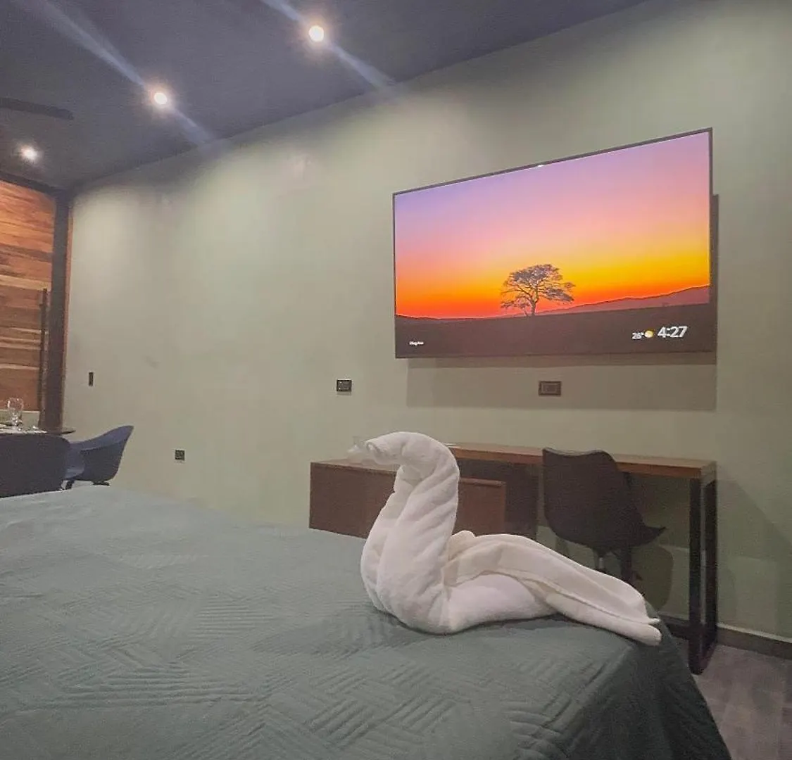 Estudio Centrico Tulum
