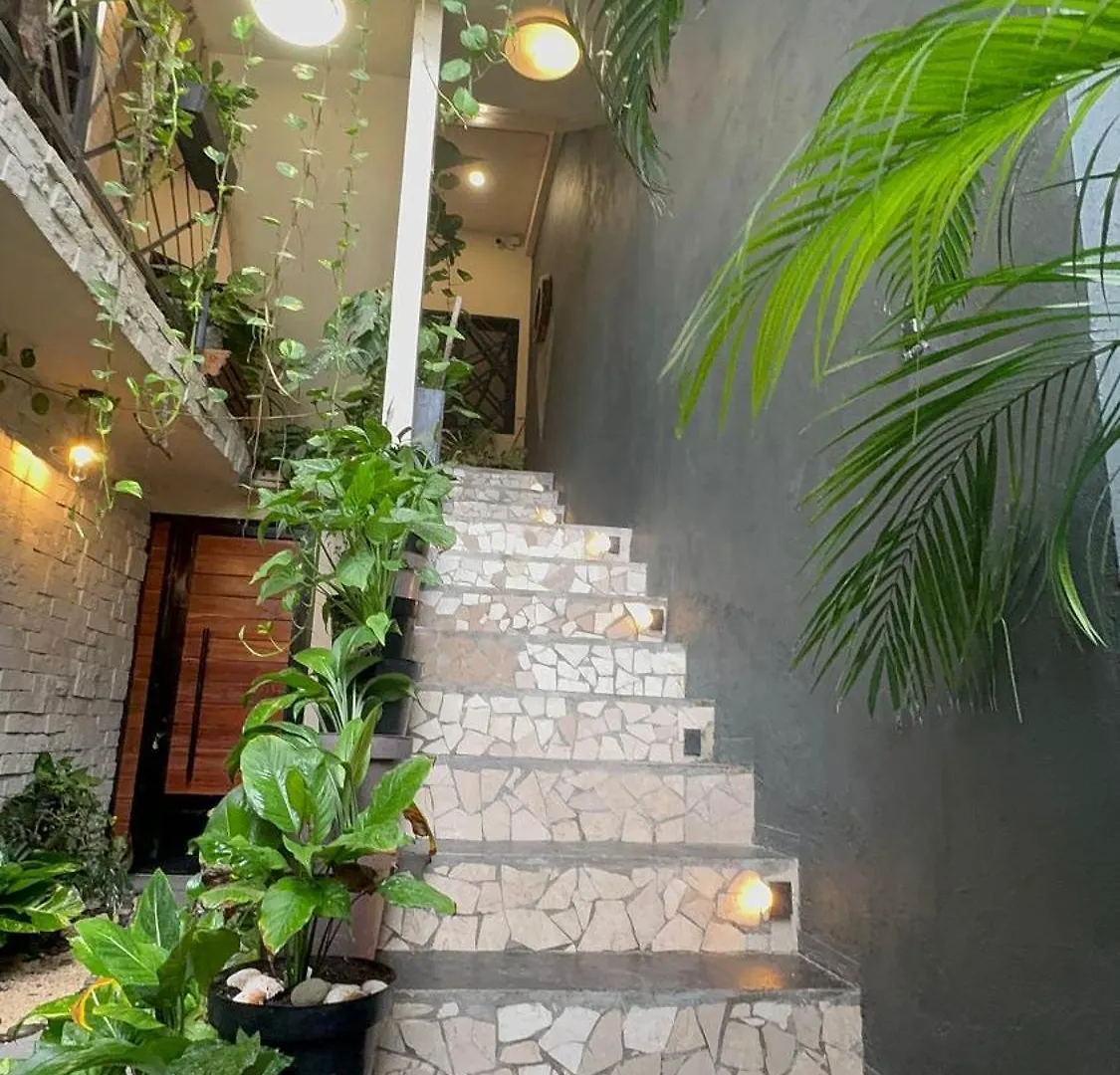 Estudio Centrico Tulum