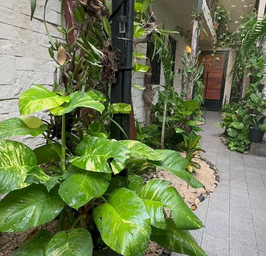 Estudio Centrico Tulum Apartment